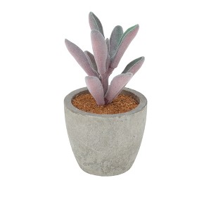 Unique Bargains Artificial Plants Flocked Split-Leaf Peperomia in Mini Pulp Plastic Purple 2.56"x2.56"x4.33" 1 Pcs - 1 of 4