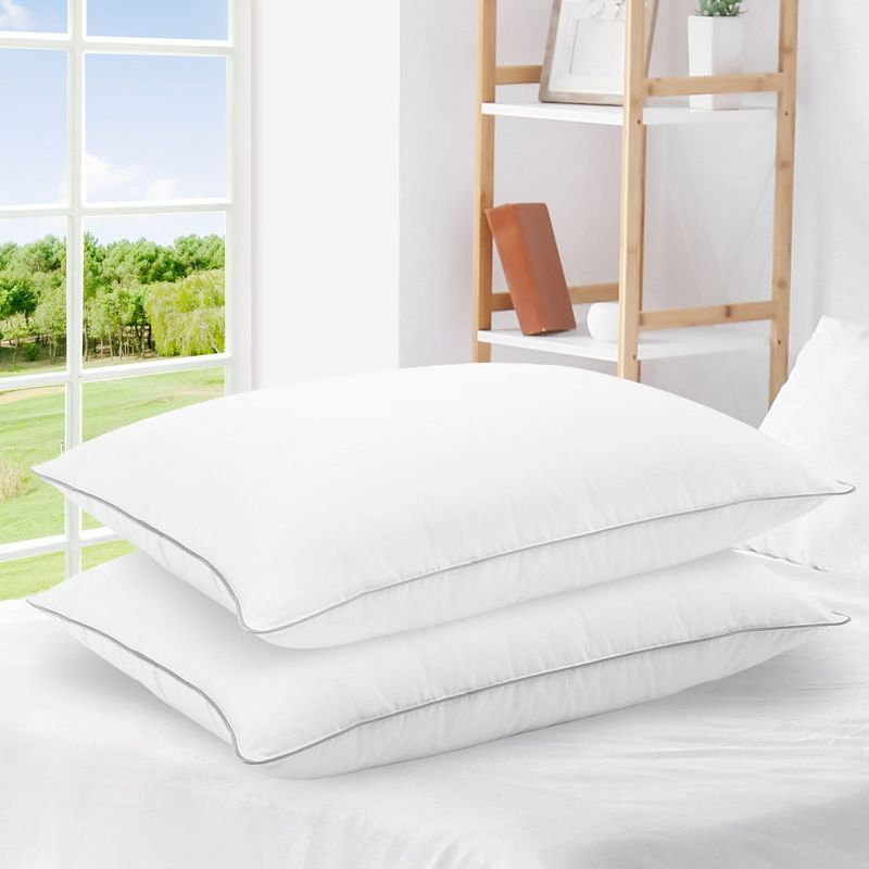Cheer Collection Set of 2 Standard Size Down Alternative Pillows (20" x 28")