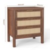 Walnut Bedside Table, 3-Layer Wooden Night Stand with Large Drawers for Bedroom Storage - 2 of 4
