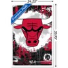 Trends International NBA Chicago Bulls - Maximalist Logo 23 Framed Wall Poster Prints - 3 of 4