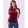 INSPIRE CHIC Women's Short Sleeve Velvet Keyhole Back Ruffle Mock Neck Shirt - 4 of 4