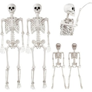 Posable Life Size Human Skeleton Family 4pk- 2 Adult (5'4") & 2 Children (2')- Halloween Prop Indoor Outdoor Decorations w Bending Articulated Bones - 1 of 1