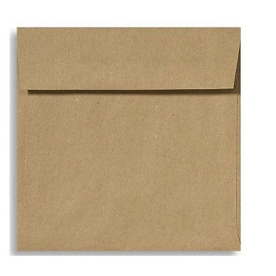 LUX 5 1/2 x 5 1/2 Square Envelopes 2 11/16 x 3 11/16 Grocery Bag 8515-GB-50