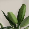 TopComfy Artificial Trees 83in Tall Artificial Banana Tree Fake Banana Tree Leaves Large Artificial Banana Tree for Indoor, Green, 39"*39"*82.75" - 4 of 4