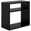 Munson 2 Shelf Console Table - Safavieh - image 3 of 4