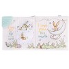 Guess How Much I Love You 5" Inch Soft Activity Teether Book Toy - 2 of 4