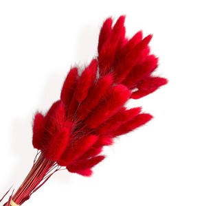 Alilang Dried Bunny Tail Grass Stems for Modern Home Decoration and Floral Arrangements, 23.5 Inches - 1 of 3