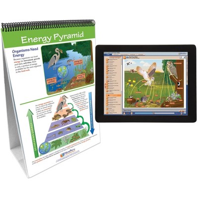NewPath Learning Food Webs & Food Chains Flip Chart & Online Multimedia Lesson, Grades 6 through 10
