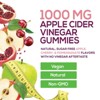 Vegan Apple Cider Vinegar Gummies 1000mg - Sugar Free ACV Vitamins Supplement - Gelatin-Free, Vegan, Non-GMO - 120 Gummies - 2 of 4