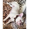 PoisePup – Luxury Pet Dog Bow Tie – Soft Premium Leather Bowtie for Small and Large Dogs - Wildest One - 3 of 3