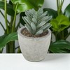 Unique Bargains Artificial Plants Flocked Pinecone in Mini Pulp Plastic 2.56"x2.56"x3.35" 1 Pcs - 2 of 4