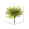Vickerman 6" Artificial Assorted Succulent Picks, Set of 3 - 4 of 4