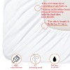 Brushed Microfiber Fitted Sheet Only, Super Soft Hotel Quality Fitted Sheet with Deep Pocket - NTBAY - 3 of 4