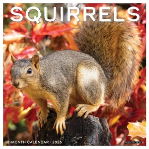 Willow Creek Press 12"x12" 2026 Squirrels Wall Calendar - 1 of 4