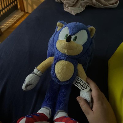 Sonic The Hedgehog Sonic Prime 13 inch Plush Figure Doll Stuffed Animal :  Toys & Games 