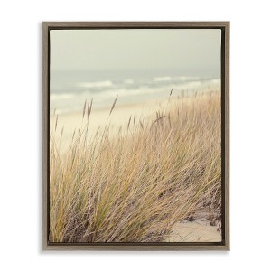 Stupell Industries Beach Dreams Sea Grass Floating Frame Canvas Art - 1 of 4