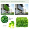 Costway 12PCS 16x24inch Artificial Eucalyptus Hedge Plant Privacy Fence Panels - 4 of 4