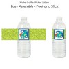 Big Dot of Happiness Roar Dinosaur - Dino Mite T-Rex Baby Shower or Birthday Party Water Bottle Sticker Labels - Set of 20 - 2 of 4