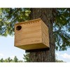JCs Wildlife Barn Owl Nesting Box Large House Crafted in USA - Exterior Grade Treated Plywood - Mounting Hardware and Pine Shavings Included - - 2 of 4