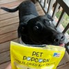 Pet Popcorn: Freeze-Dried Raw Treats - Bison Liver - 2.5oz Bag, Dog & Cat Snacks - 4 of 4