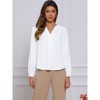 INSPIRE CHIC Women's Long Lantern Sleeve V Neck Button Front Dressy Top - 4 of 4