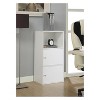 Extra Storage 2 Door Cabinet - Breighton Home - 3 of 4