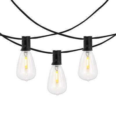 Dorcia Black 10-Foot LED Outdoor String Lights