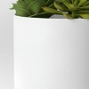 Succulent Arrangement in White Pot - Room Essentials™ - 4 of 4