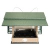JCS Wildlife Hopper and Suet Feeder - 4 of 4
