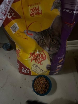 Meow Mix Original Choice With Flavors Of Chicken Turkey Salmon