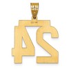 Black Bow Jewelry 14k Yellow Gold, Varsity Collection, Large D/C Pendant Number 24 - 3 of 4