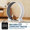 45" Quiet Cat Exercise Wheel | Pedometer, Detachable Carpeted Runway – Cats Treadmill for Pet Weight Loss & Health - 2 of 4