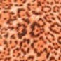rust cheetah