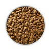 Purina ONE Sensitive Skin & Stomach Adult Premium Turkey Flavor Dry Cat Food - image 2 of 4