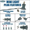 Novelty Lights 50 Feet 100 Bulb Incandescent Mini Lights, 6-Inch Spacing on White Wire, UL Listed for Indoor/Outdoor, Connectable - 4 of 4