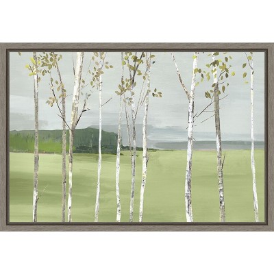 Birch Valley Landscape Canvas Print with Gray Frame