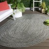 Braided BRA260  Machine Washable UV Resistant Stain Resistant Non-Shedding Hand Woven Indoor/Outdoor Rugs - Safavieh - 2 of 4