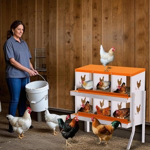 Chicken Nesting Boxes Galvanized Steel Rustproof Egg Laying Box with Egg Collection Systems, Hen Eggs Laying Box, for Chicken House/Duck House/Hen - 1 of 4