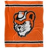 Sam Houston State University Primary Logo Stripes Silky 50x60 Blanket, 1 Sided - 2 of 4
