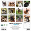 Willow Creek Press 2026 French Bulldog Puppies Wall Calendar - 2 of 4