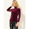 Allegra K Women's Solid Turtleneck Velvet Long Sleeve Work Basic Velour Blouse - 3 of 4