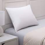 King 2pk Chamomile Infused Cotton Pillow Protector - Allied Home