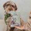 Dexypaws: Pet Spa Glove Wipes - Dog - 10ct Grooming Mitts, Oatmeal & Aloe - 2 of 4
