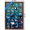 Trends International Wild Kratts - Grid Framed Wall Poster Prints - 3 of 4