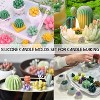 JDICTION Succulent & 3D Flower Silicone Molds (10Pcs) – Ideal for Candle Soap Making, Cake Decoration, Plant Flower Wax & Resin Crafts - 4 of 4