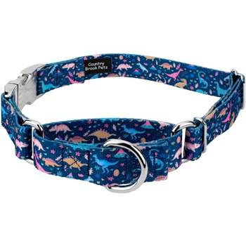 Country Brook Petz Dinosaurs Martingale Dog Collar with Premium Buckle