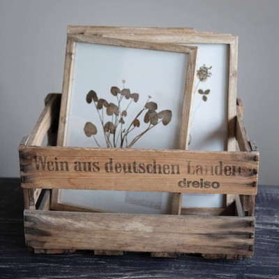 Set of 6 Botanical Prints in Light Brown Wood Frames