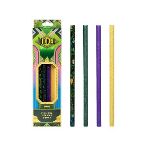 CharCharms 4pk 30oz Water Bottles Straws Wicked 2 Elphaba - 1 of 4