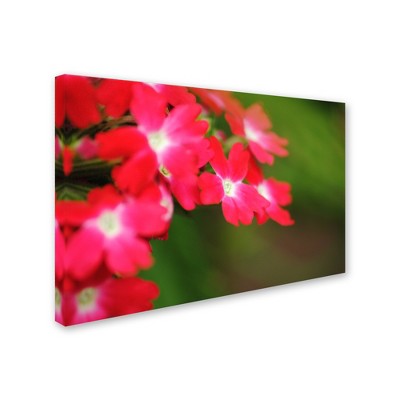 Trademark Fine Art -Monica Mize 'Paired Ornament' Canvas Art