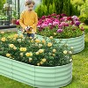 Acekool Oval Garden Beds Set - 2 of 4